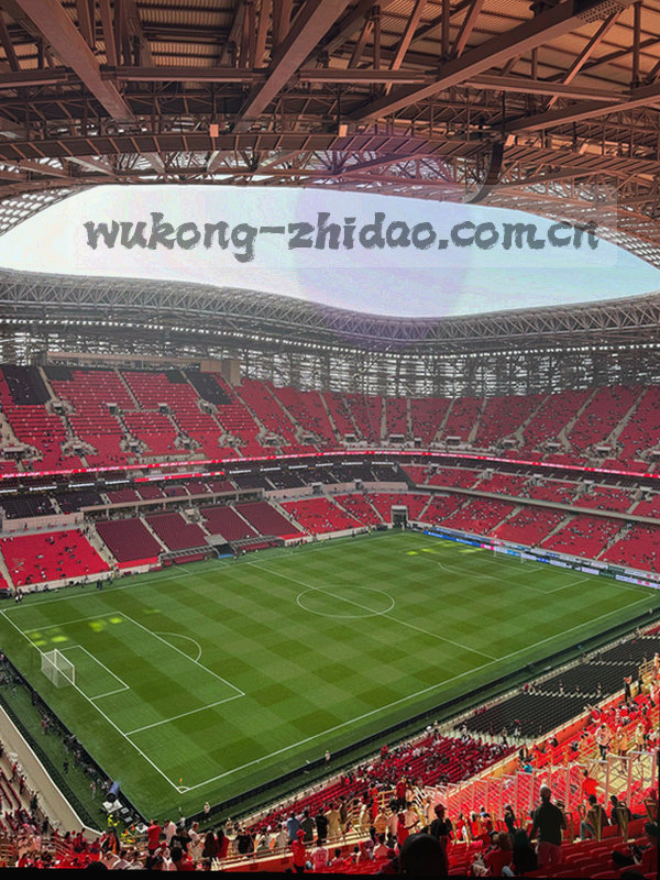 筛选器按年份和联赛分类的界面截图